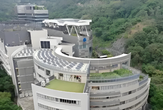 2025香港国际学校升学趋势，AI课程竞争力？