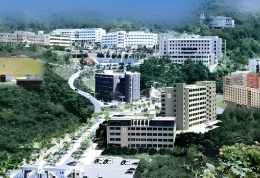 2025香港国际学校择校攻略,中产家庭优选5所香港国际学校